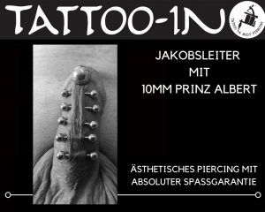 Frenumleiter und PA Piercings