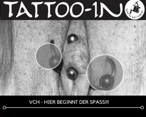 Klitorisvorhautpiercing frisch